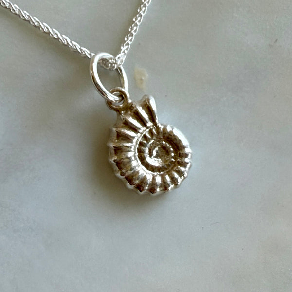Cephalopoda