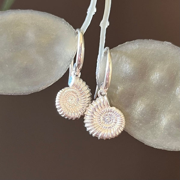Ammonite