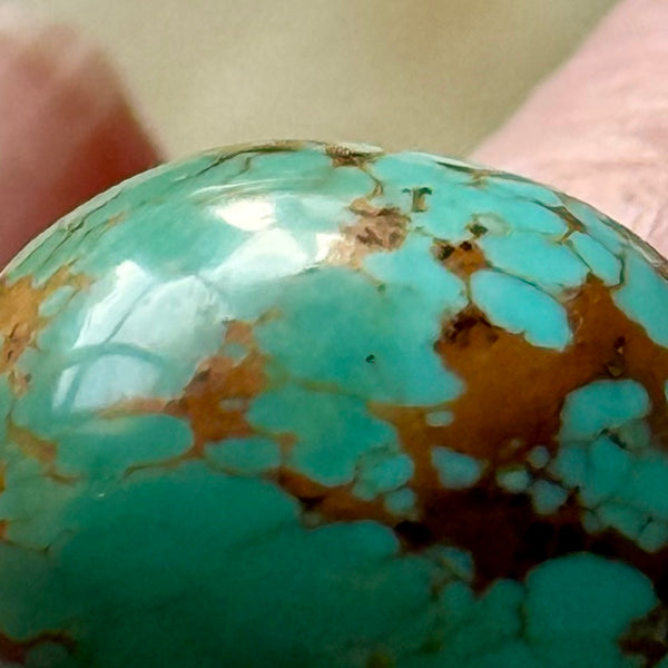 Tibet Treasure