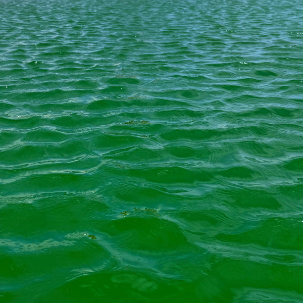 Fluere