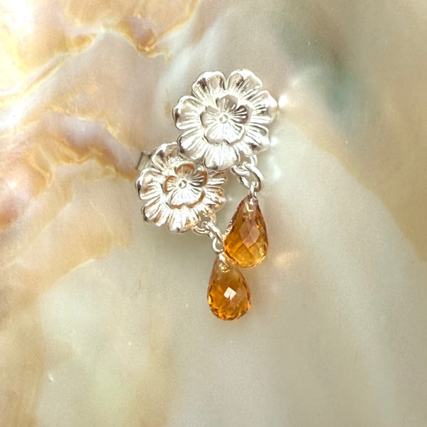 Apricot Camellia