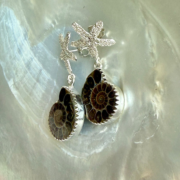 Nautilus