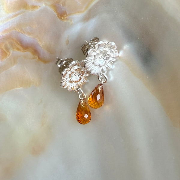 Apricot Camellia