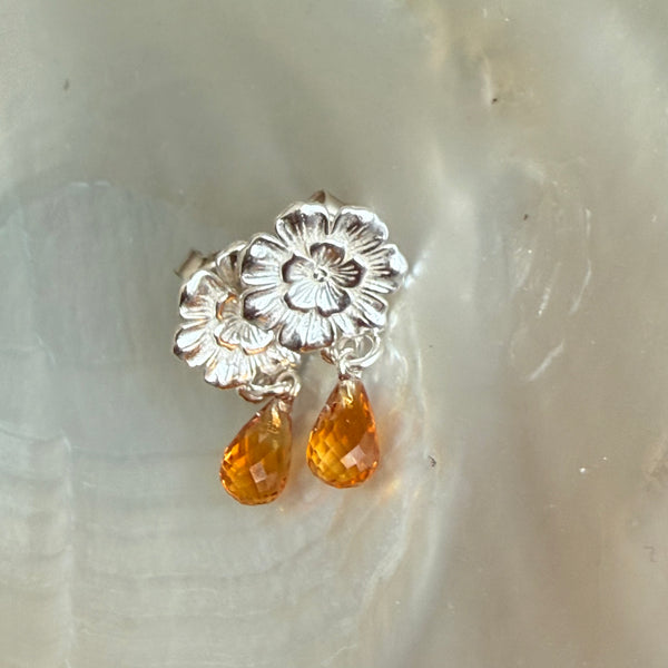 Apricot Camellia