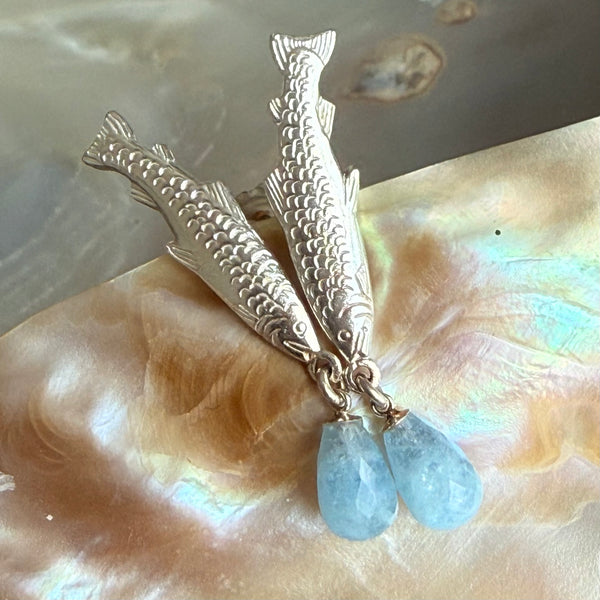 Aqua Fish