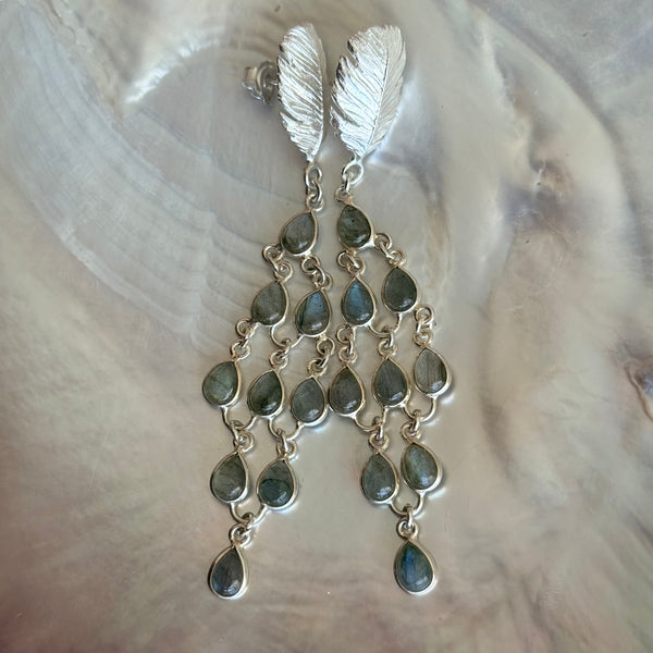 Peacock-Feather