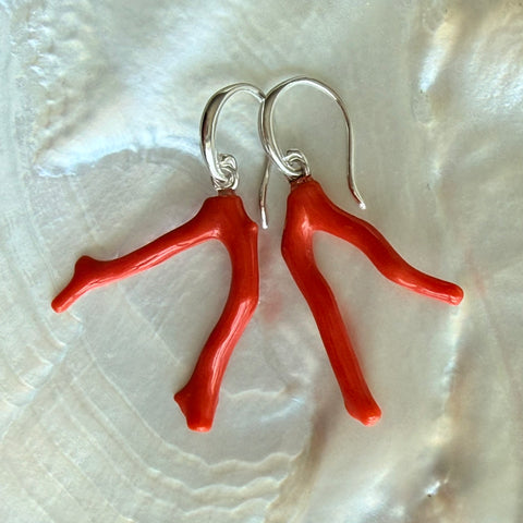 Corail Solo