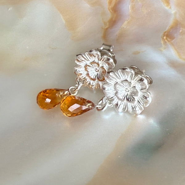 Apricot Camellia