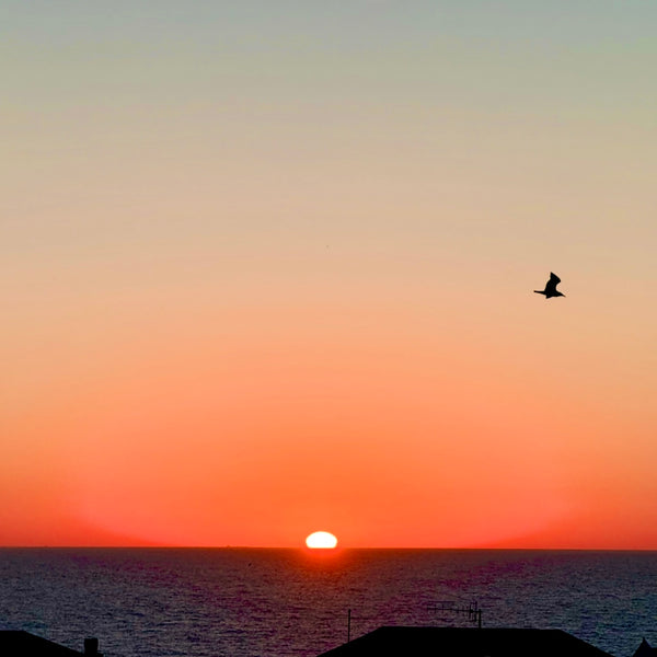 Eastern Sunrise
