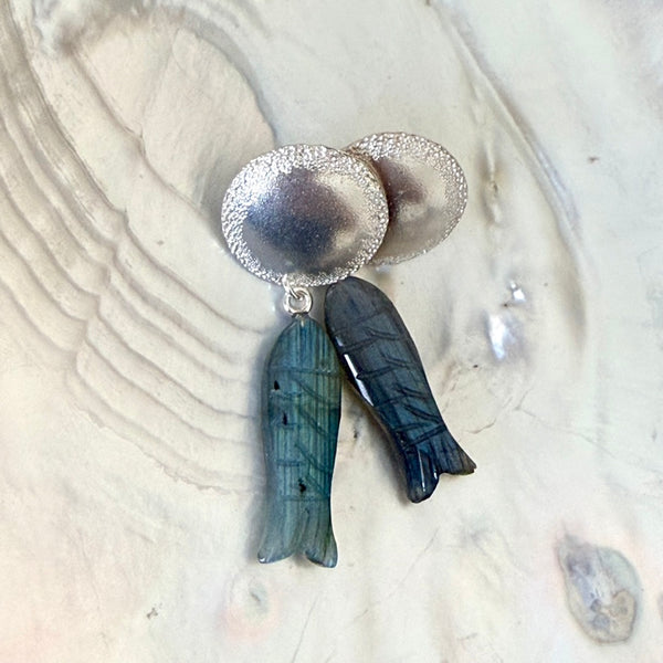 Danio