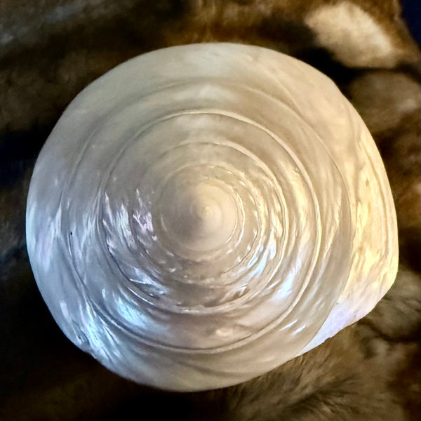 Venus