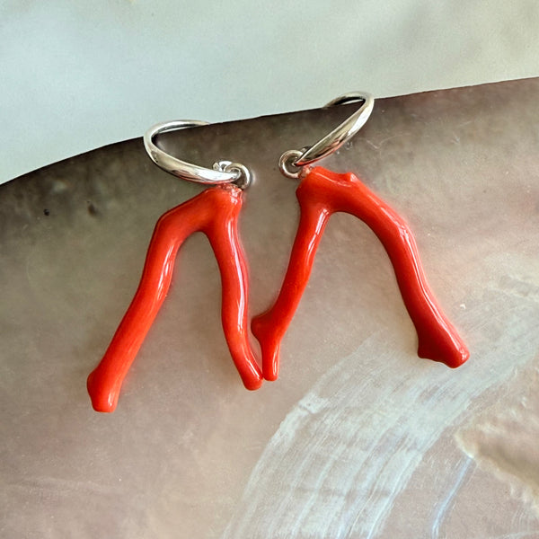 Corail Solo