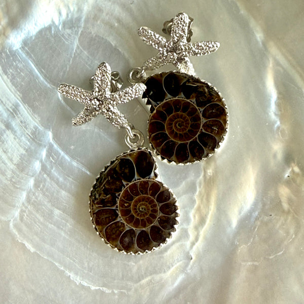 Nautilus