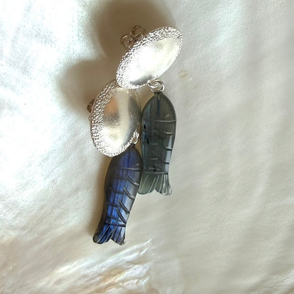 Danio