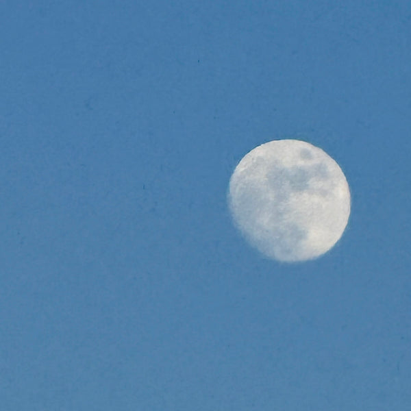 Near the Moon