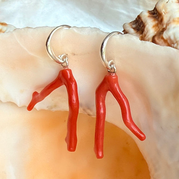 Corail Solo
