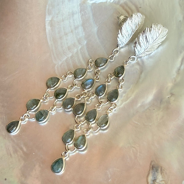Peacock-Feather