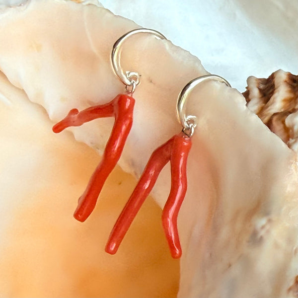 Corail Solo