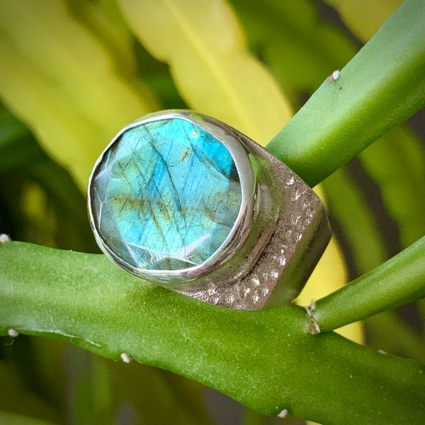 Luna on the Beach + 18 x 16mm Blue Flash Labradorite Faceted edge Slice