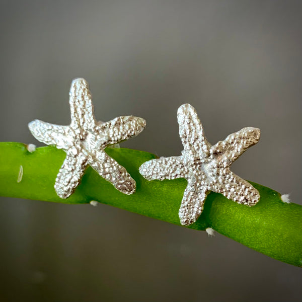 Sea Star Stud