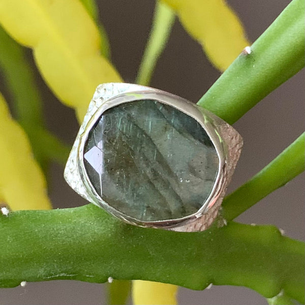 Luna on the Beach + 18 x 16mm Blue Flash Labradorite Faceted edge Slice