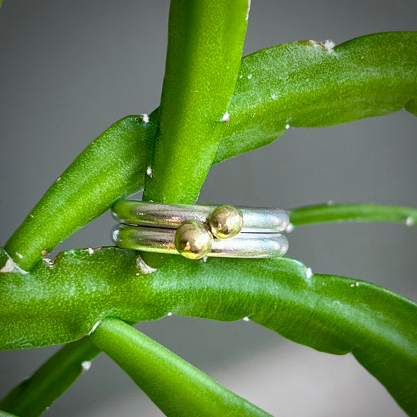 Beach Rings  - Pair